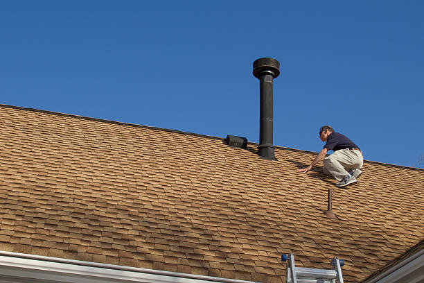 Best Flat Roofing  in Spring Lake Park, MN
